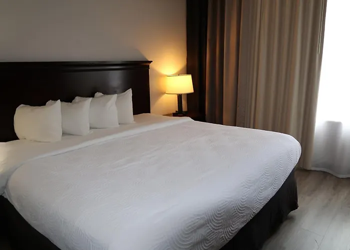 Country & By Radisson, Tallahassee-university Area, Fl Hotel