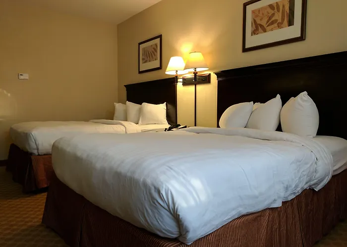 Country & By Radisson, Tallahassee-university Area, Fl 4*