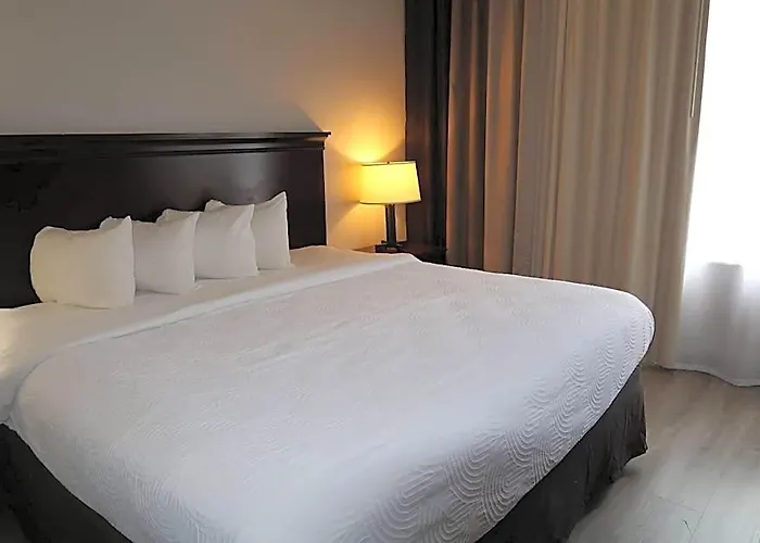 Country & By Radisson, Tallahassee-university Area, Fl 4* Tallahassee