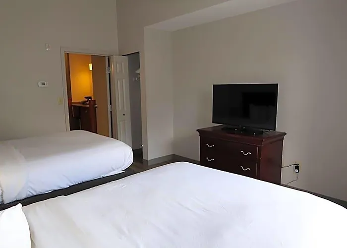 Country & By Radisson, Tallahassee-university Area, Fl 4* Tallahassee