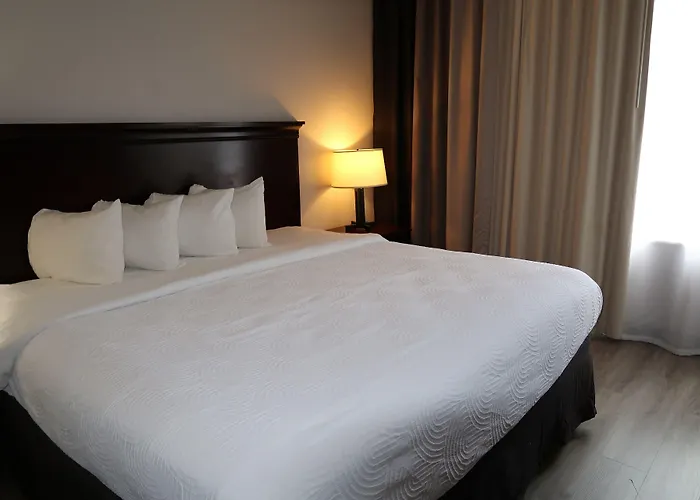 Hotel Country & By Radisson, Tallahassee-university Area, Fl 4*